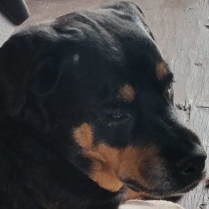 Meet your Posher, Jerri